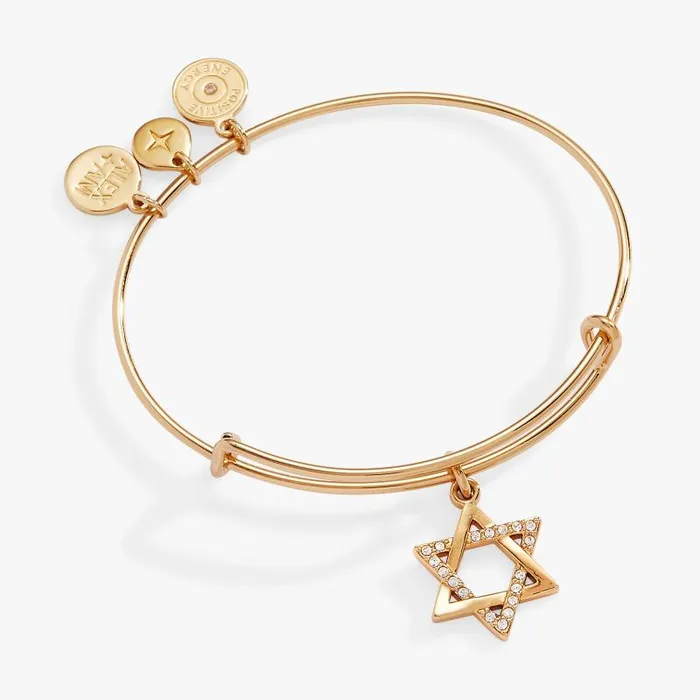 Bracelets Women Alex And Ani Holiday Star Of David Bangle Shiny Gold