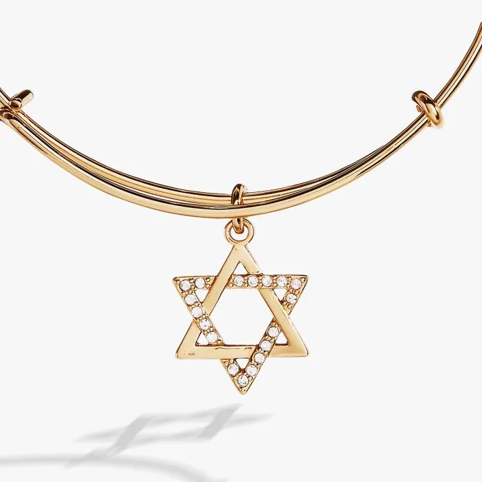 Bracelets Women Alex And Ani Holiday Star Of David Bangle Shiny Gold
