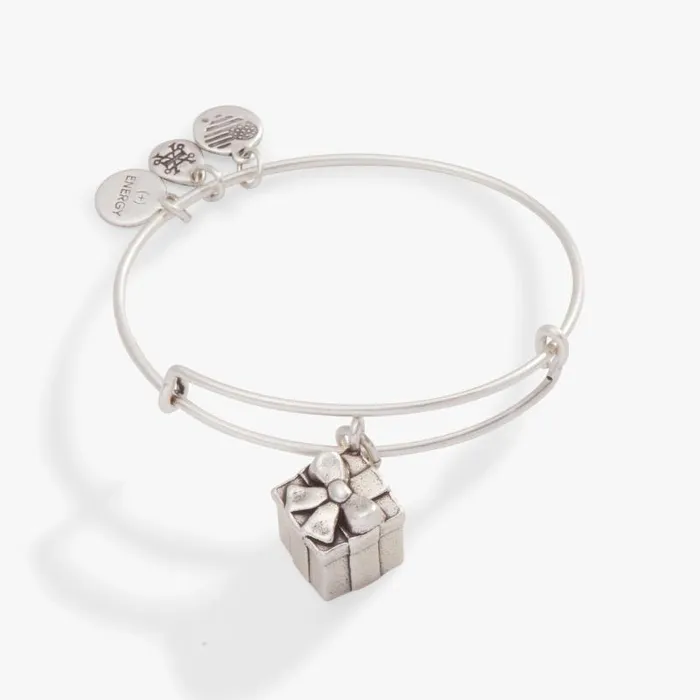 Bracelets Women Alex And Ani Present Charm Bangle Bracelet Rafaelian Silver