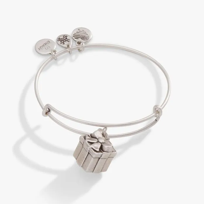 Bracelets Women Alex And Ani Present Charm Bangle Bracelet Rafaelian Silver