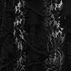 Dresses and Jumpsuits Lori Lace Maxi Dress 8211 Ebony 8211 LEO LIN Women