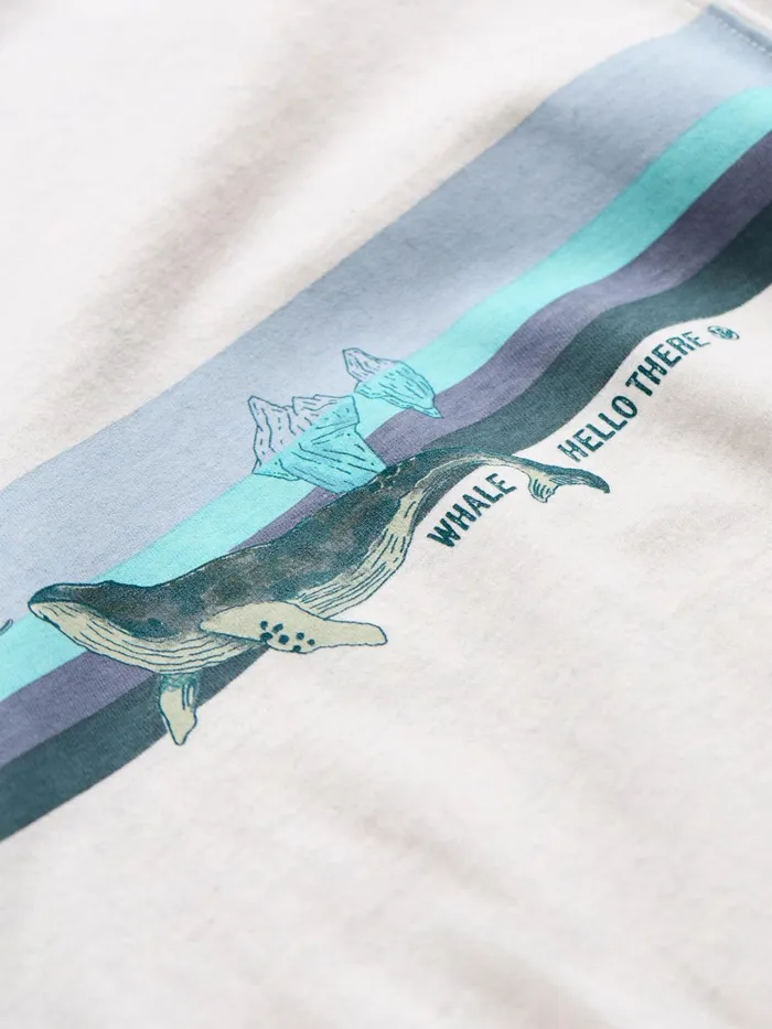 Fat Face TShirts Natural Whale Hello There TShirt 8211 Men Fat Face TShirts Natural Whale Hello There TShirt 8211 Men