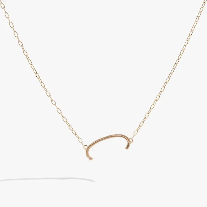 Fine Jewelry Women Alex And Ani Initial C Precious Elongated Necklace Sterling Silver