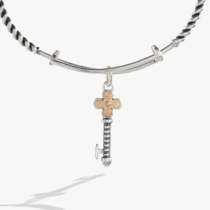 Iconic Women Alex And Ani Antique Key Charm Bangle Two Tone