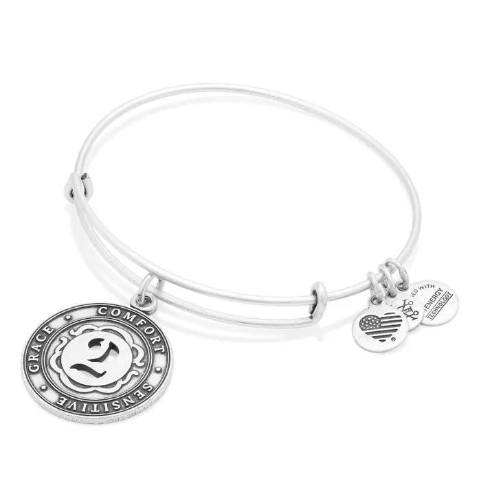 Iconic Women Alex And Ani Number 2 Charm Bangle Bracelet Rafaelian Gold