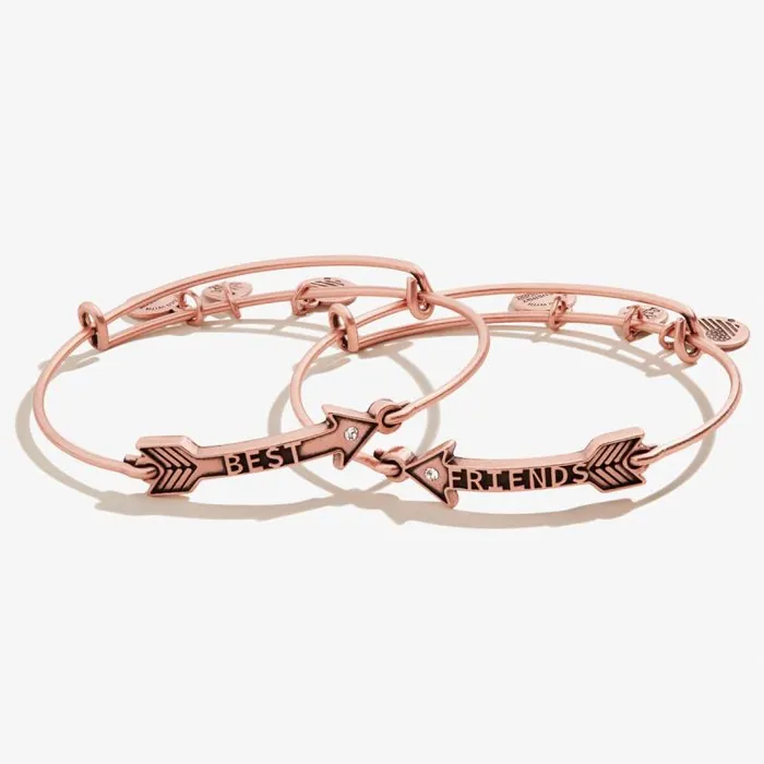 Jewelry Sets Women Alex And Ani Best Friends Arrow Charm Bangles Set Of 2 Rafaelian Silver