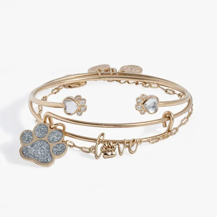 Jewelry Sets Women Alex And Ani Paws Of Love Bracelet Set Of 3 Gold