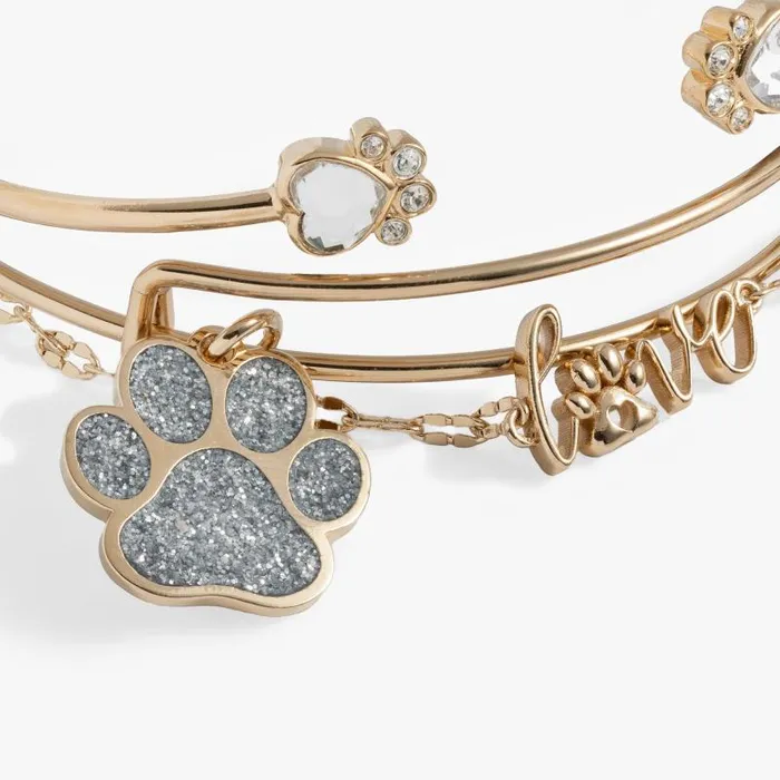Jewelry Sets Women Alex And Ani Paws Of Love Bracelet Set Of 3 Gold