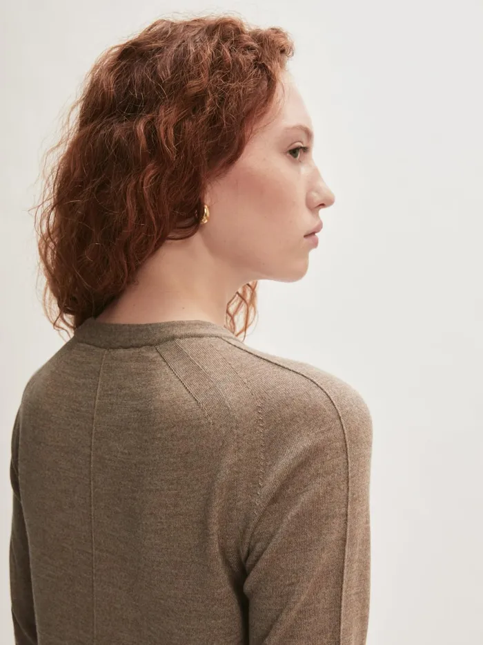 Jigsaw Knitwear and Cashmere Women Merino Crew Neck Jumper Brown