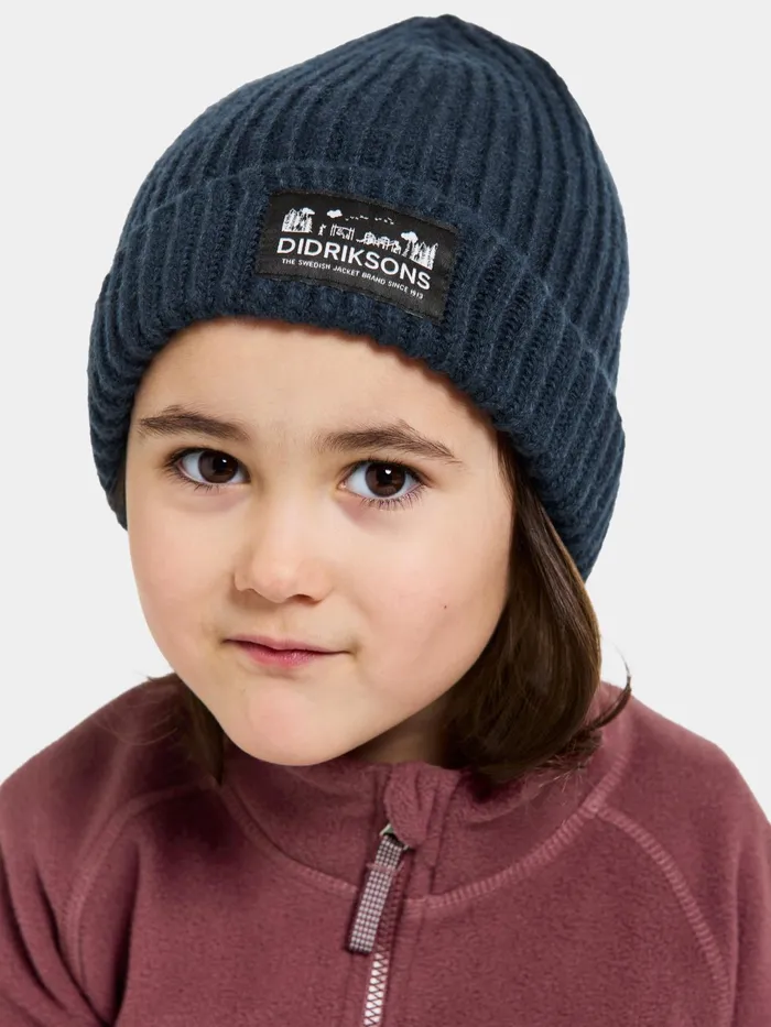 Kids Bus Beanie Navy Didriksons Hats and Caps
