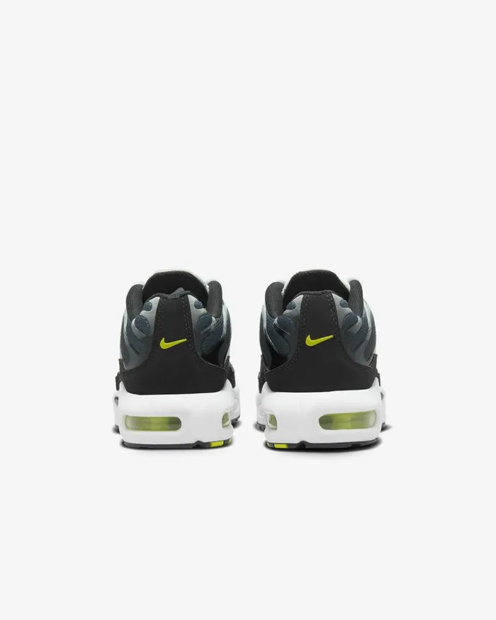 Kids Nike All Shoes Air Max Plus Blacklight Silverwhitebright Cactus