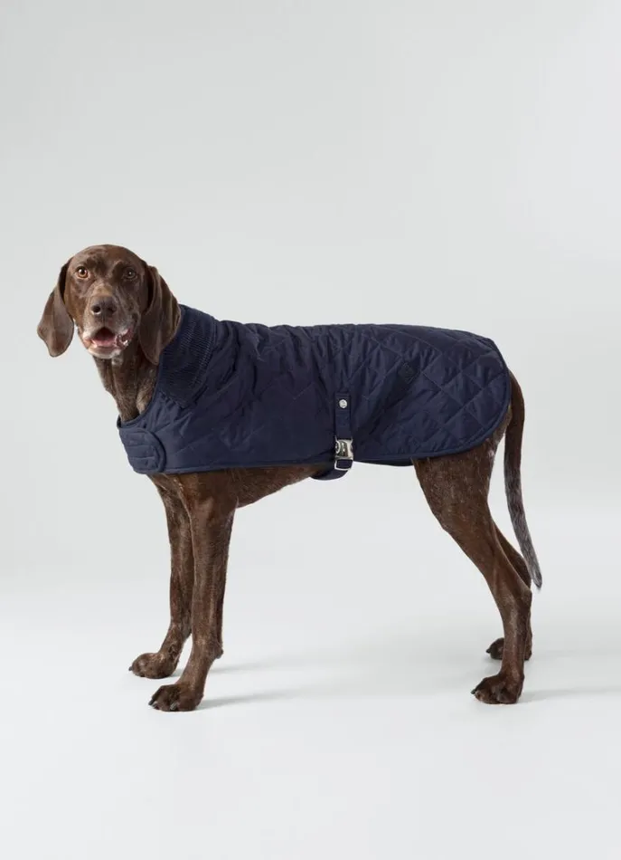 Men Hackett X Hugo and Hudson Hackett London Quilted Jacket For Dogs 8211 Medium Navy