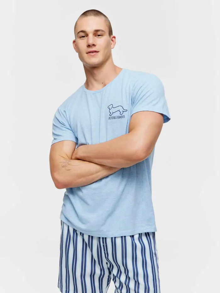 Men Penny Logo Tee Pale Blue Peter Alexander Classic Tops