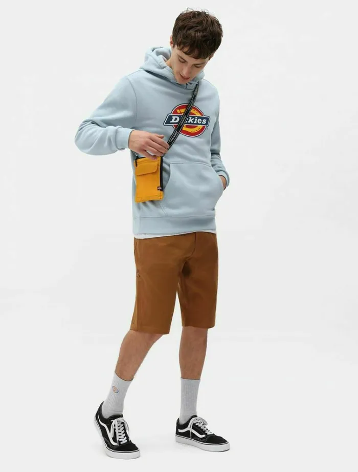 Men Shorts Dickies Fairdale Short Brown Duck