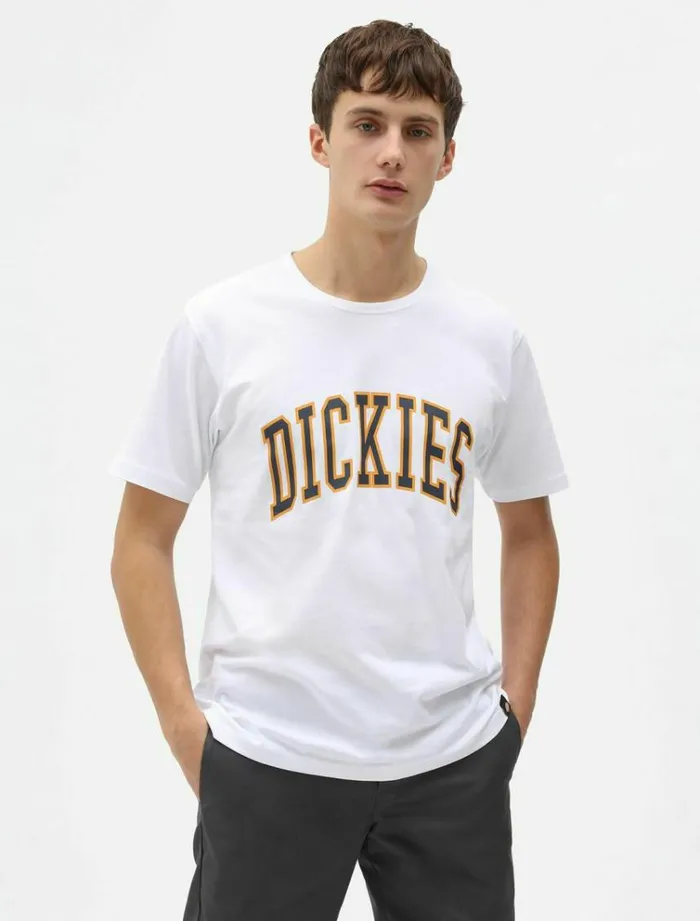 Men TShirts Dickies Aitkin TShirt White