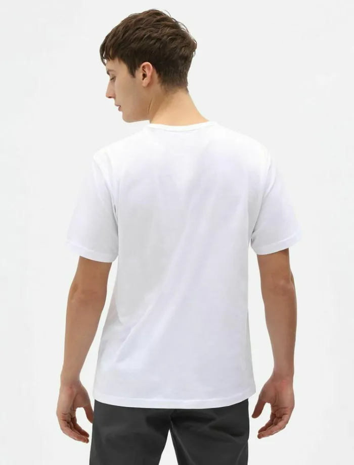 Men TShirts Dickies Aitkin TShirt White