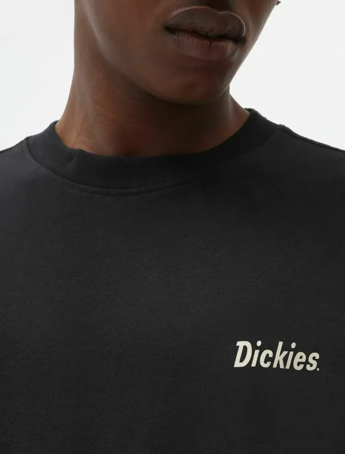 Men TShirts Dickies Bettles Long Sleeve TShirt Black
