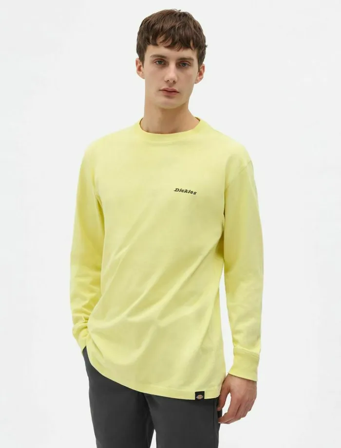Men TShirts Dickies Loretto TShirt Mellow Green
