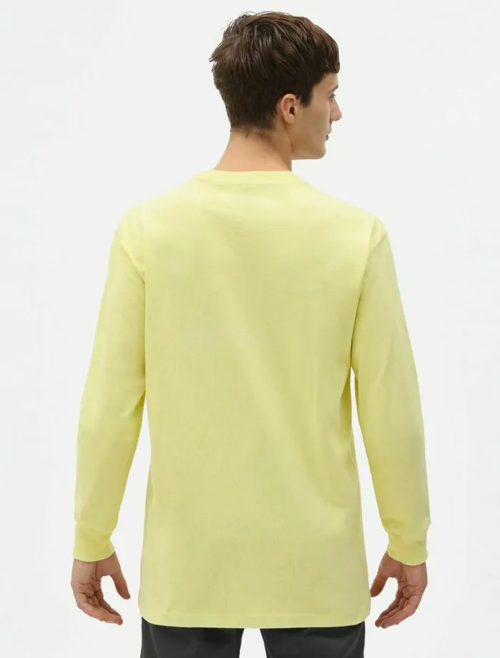 Men TShirts Dickies Loretto TShirt Mellow Green