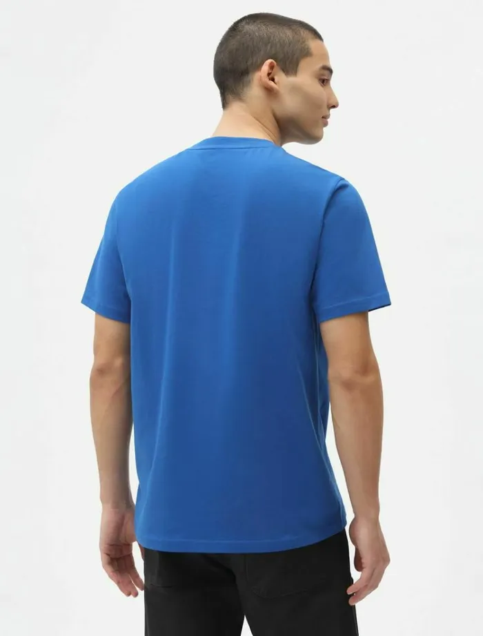 Men TShirts Dickies Mapleton TShrit True Blue