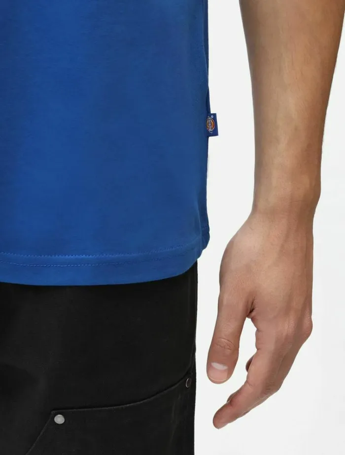 Men TShirts Dickies Mapleton TShrit True Blue