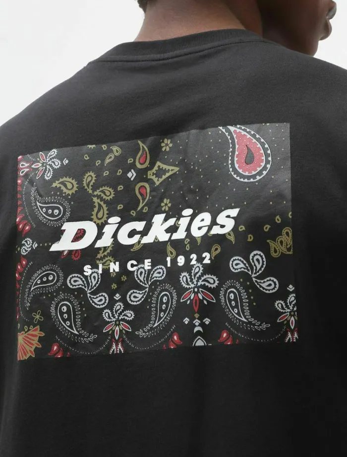 Men TShirts Dickies Reworked TShirt Black