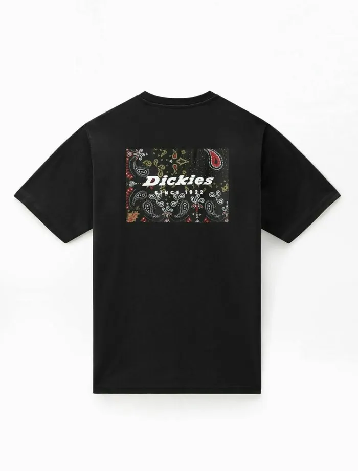 Men TShirts Dickies Reworked TShirt Black