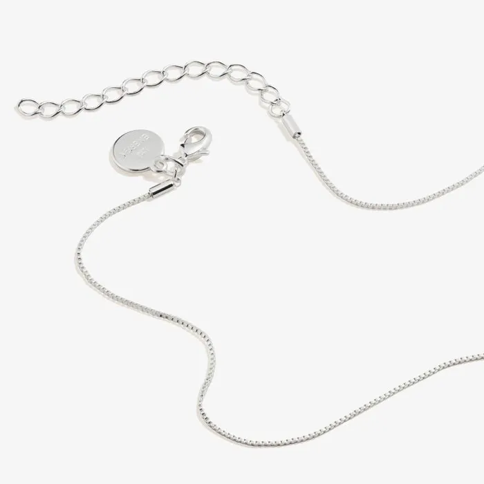 Necklaces Women Alex And Ani Clear Crystal Heart Necklace April Birthstone Silver