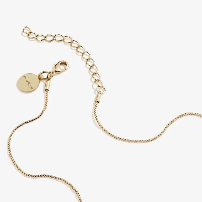 Necklaces Women Alex And Ani Clear Crystal Heart Necklace April Birthstone Silver