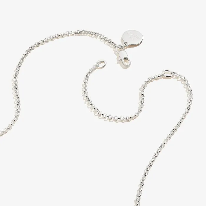 Necklaces Women Alex And Ani Small Heart Charm Necklace 19039039 Silver