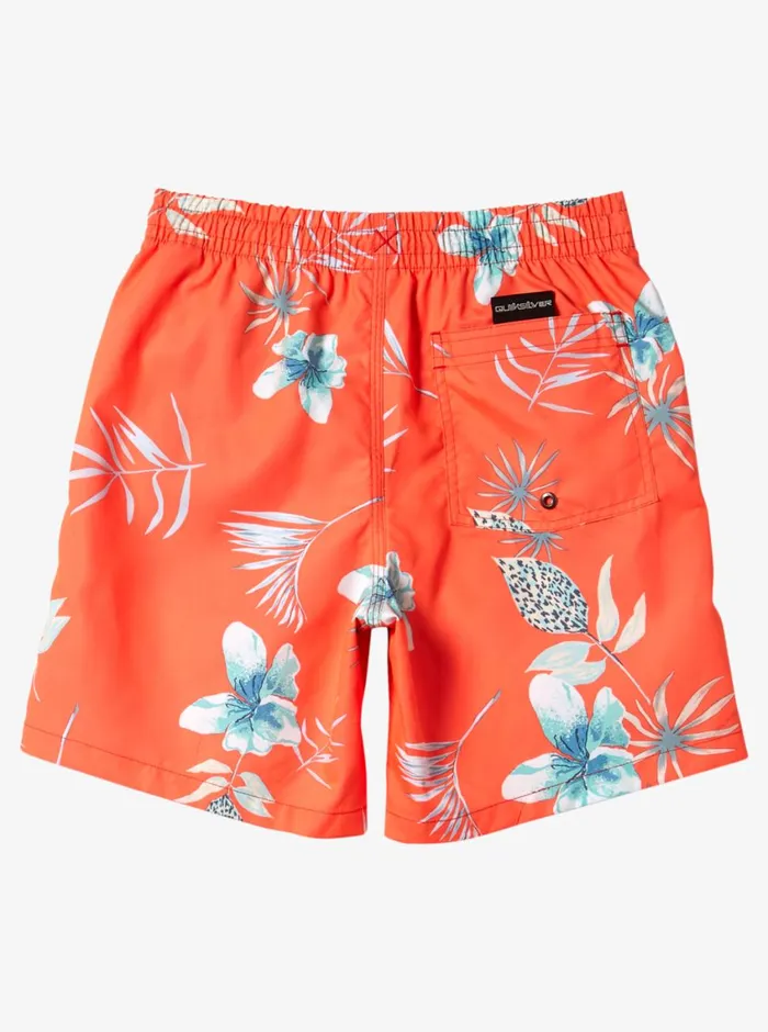 Quiksilver 816 Everyday Mix Vl 15034 Elastic Waist Shorts Fiery Coral MensBoys Boardshorts Quiksilver 816 Everyday Mix Vl 15034 Elastic Waist Shorts Fiery Coral MensBoys Boardshorts