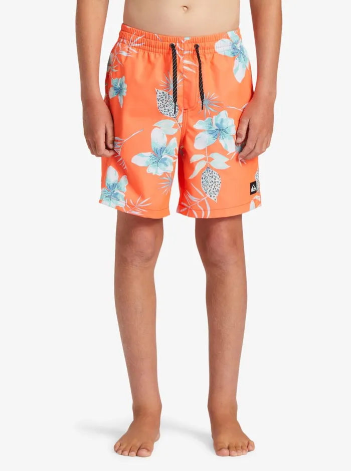 Quiksilver 816 Everyday Mix Vl 15034 Elastic Waist Shorts Fiery Coral MensBoys Boardshorts Quiksilver 816 Everyday Mix Vl 15034 Elastic Waist Shorts Fiery Coral MensBoys Boardshorts