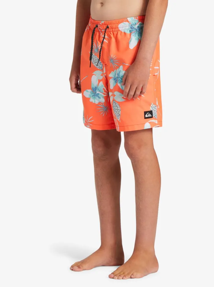 Quiksilver 816 Everyday Mix Vl 15034 Elastic Waist Shorts Fiery Coral MensBoys Boardshorts Quiksilver 816 Everyday Mix Vl 15034 Elastic Waist Shorts Fiery Coral MensBoys Boardshorts