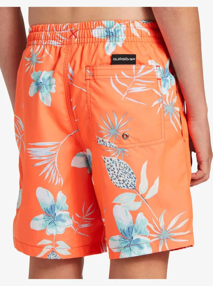 Quiksilver 816 Everyday Mix Vl 15034 Elastic Waist Shorts Fiery Coral MensBoys Boardshorts Quiksilver 816 Everyday Mix Vl 15034 Elastic Waist Shorts Fiery Coral MensBoys Boardshorts