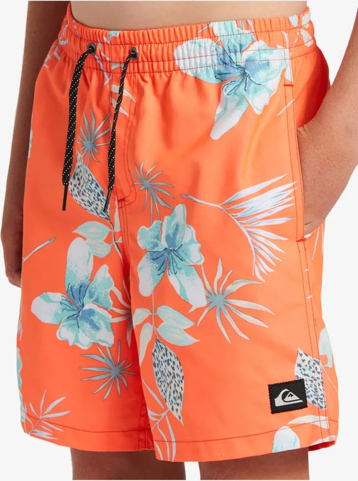 Quiksilver 816 Everyday Mix Vl 15034 Elastic Waist Shorts Fiery Coral MensBoys Boardshorts Quiksilver 816 Everyday Mix Vl 15034 Elastic Waist Shorts Fiery Coral MensBoys Boardshorts