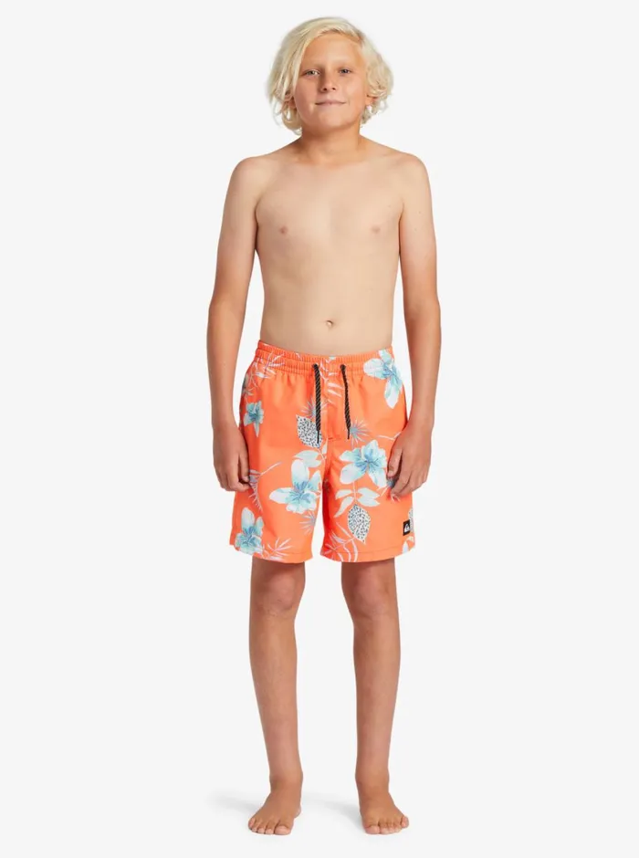 Quiksilver 816 Everyday Mix Vl 15034 Elastic Waist Shorts Fiery Coral MensBoys Boardshorts Quiksilver 816 Everyday Mix Vl 15034 Elastic Waist Shorts Fiery Coral MensBoys Boardshorts