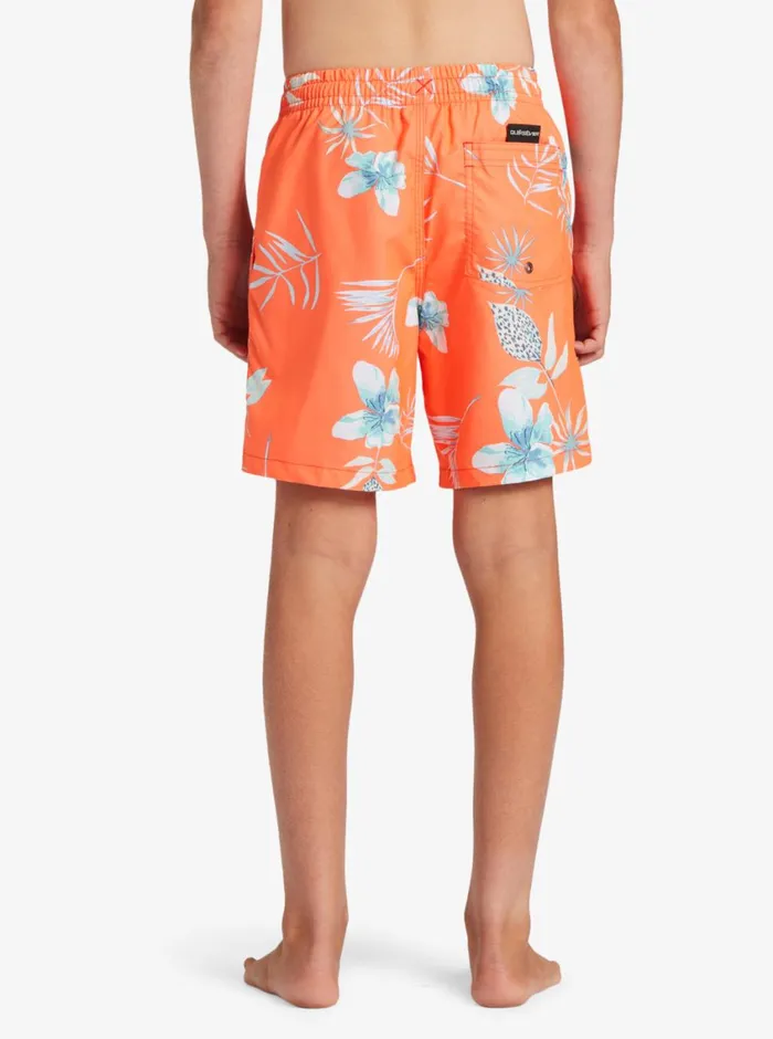 Quiksilver 816 Everyday Mix Vl 15034 Elastic Waist Shorts Fiery Coral MensBoys Boardshorts Quiksilver 816 Everyday Mix Vl 15034 Elastic Waist Shorts Fiery Coral MensBoys Boardshorts
