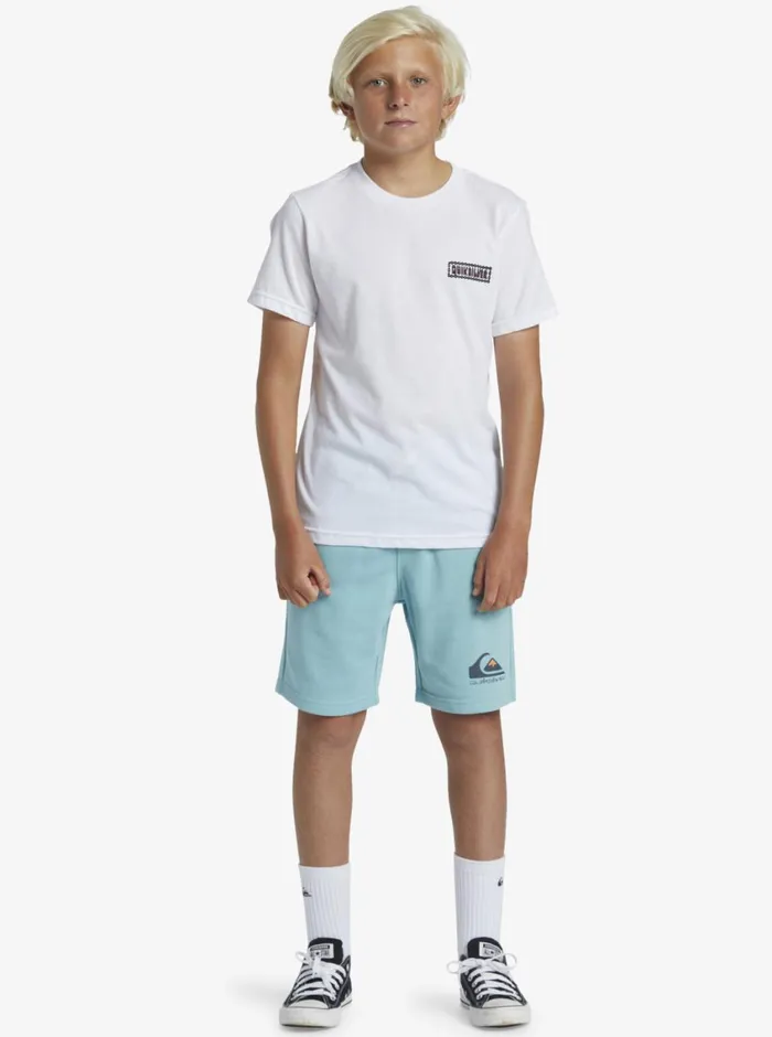 Quiksilver 816 Marooned TShirt White Boys Tees