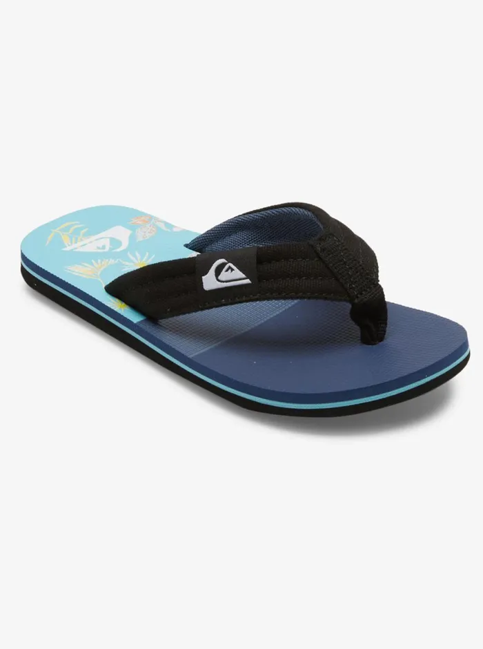 Quiksilver 816 Molokai Layback Sandals Bluebluegrey Boys Sandals