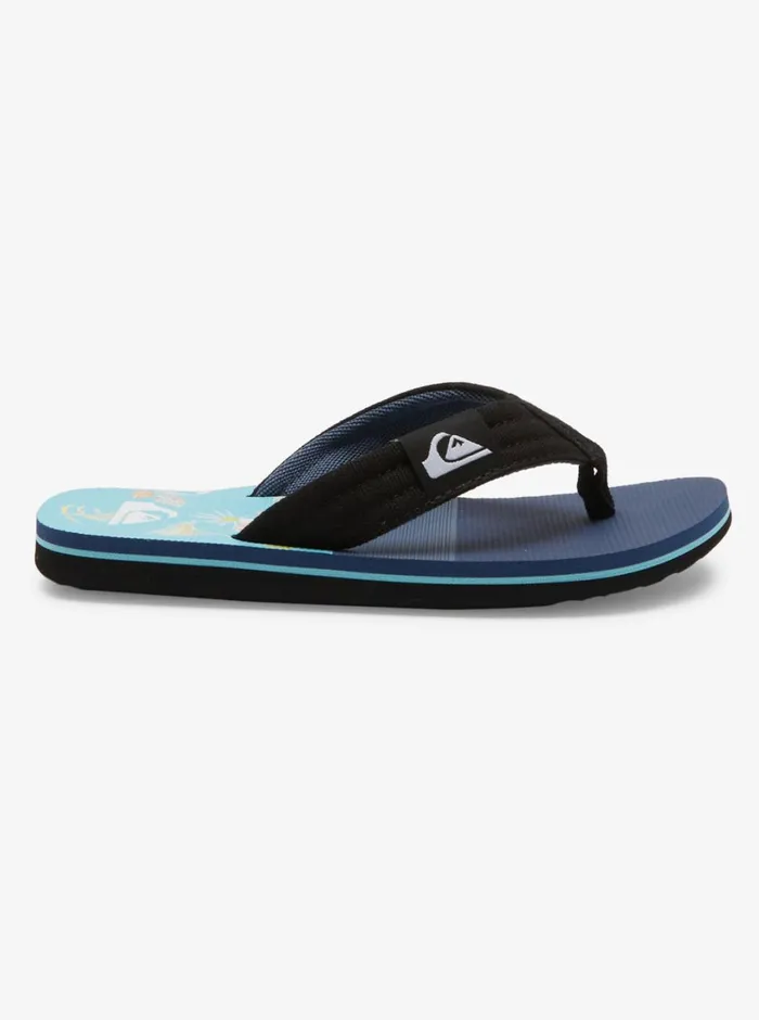 Quiksilver 816 Molokai Layback Sandals Bluebluegrey Boys Sandals