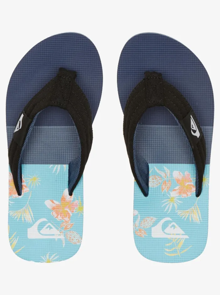 Quiksilver 816 Molokai Layback Sandals Bluebluegrey Boys Sandals