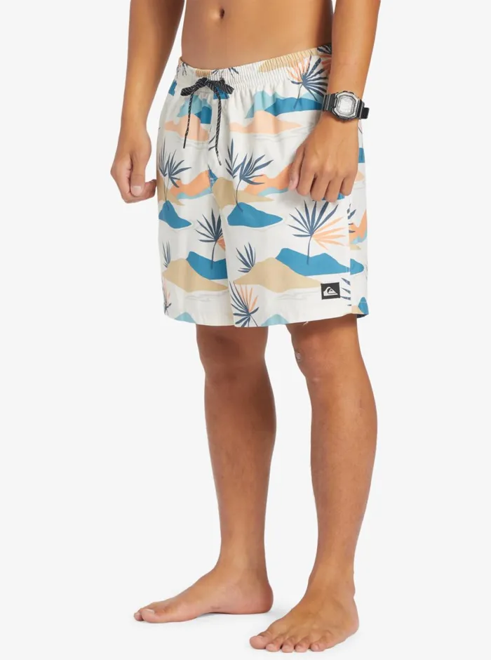Quiksilver Everyday Mix 17034 Volleys Birch Mens Boardshorts Quiksilver Everyday Mix 17034 Volleys Birch Mens Boardshorts