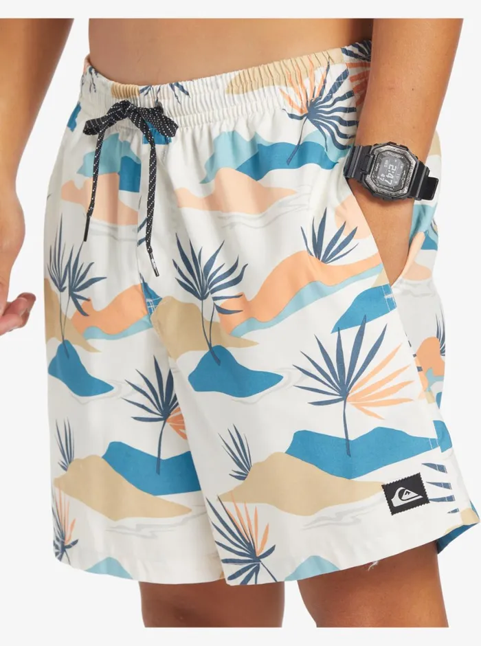 Quiksilver Everyday Mix 17034 Volleys Birch Mens Boardshorts Quiksilver Everyday Mix 17034 Volleys Birch Mens Boardshorts
