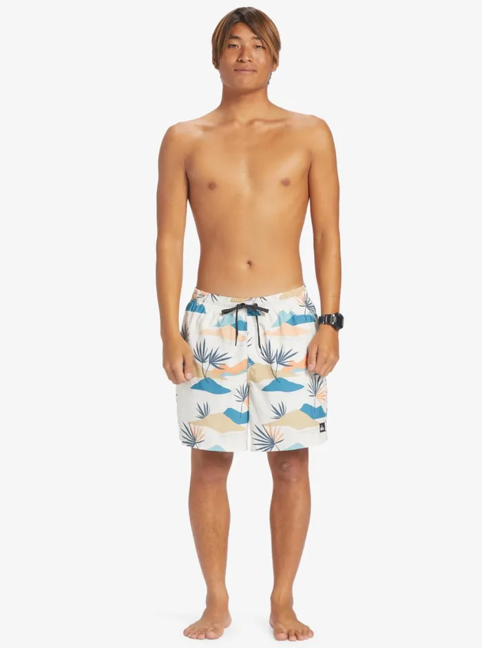 Quiksilver Everyday Mix 17034 Volleys Birch Mens Boardshorts Quiksilver Everyday Mix 17034 Volleys Birch Mens Boardshorts