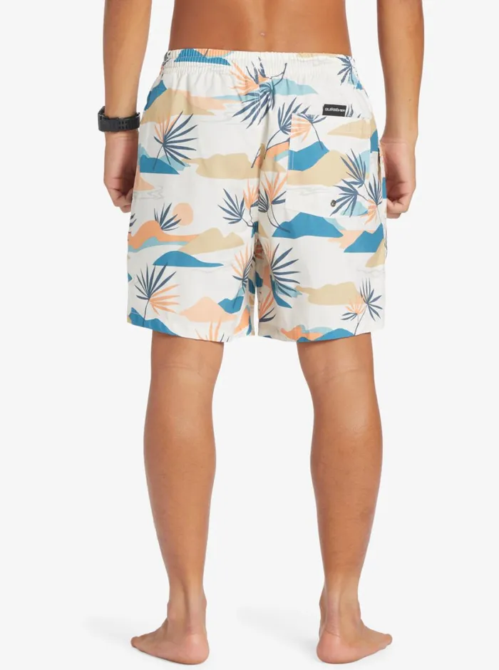 Quiksilver Everyday Mix 17034 Volleys Birch Mens Boardshorts Quiksilver Everyday Mix 17034 Volleys Birch Mens Boardshorts