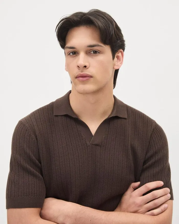 RWandCO Polos ShortSleeve Cotton Polo Sweater With Johnny Collar Seal Brown 8211 Men RWandCO Polos ShortSleeve Cotton Polo Sweater With Johnny Collar Seal Brown 8211 Men