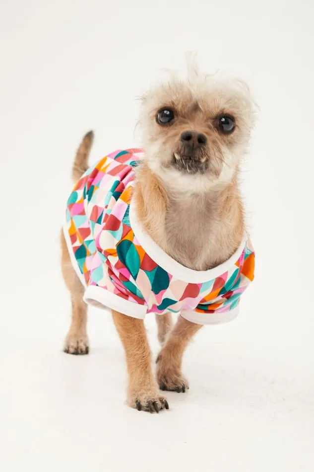 SHOP Trina Turk PETS DANCING DOTS JERSEY PET PAJAMA SHIRT