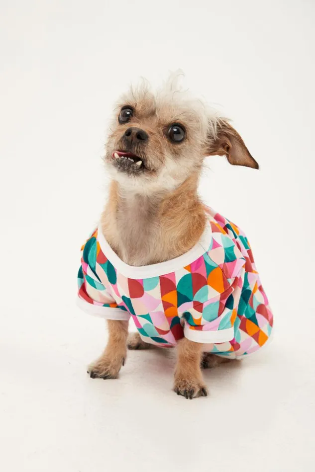 SHOP Trina Turk PETS DANCING DOTS JERSEY PET PAJAMA SHIRT