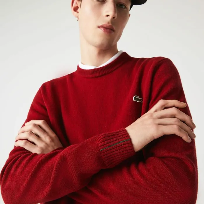 Sweaters and Sweatshirts Men Lacoste Men039s Crew Neck Wool Sweater Bordeaux 476