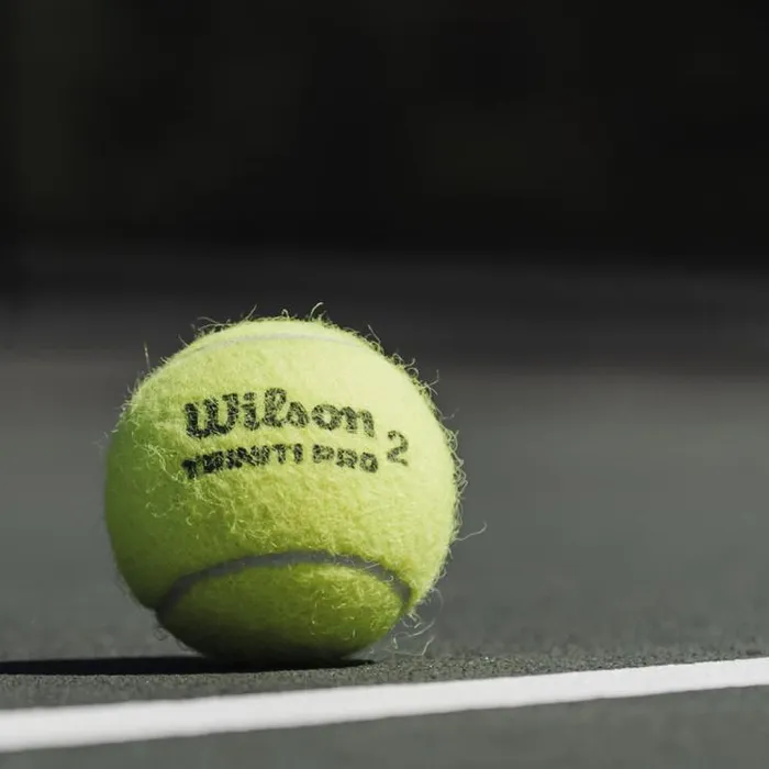 Wilson Tennis Balls Sports Triniti Pro Tennis 4Ball 18 Sleeve Case